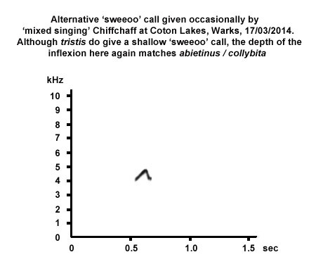 Sonogram of 'sweeoo' call given by 'mixed singing' tristis-type