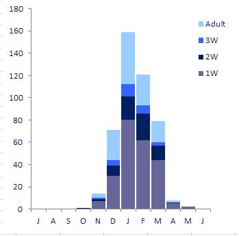 Monthly distribution of Iceland Gulls, 1986-2010