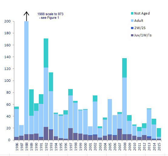 Annual totals of Kittiwake, 1986-2005 (truncated scale)