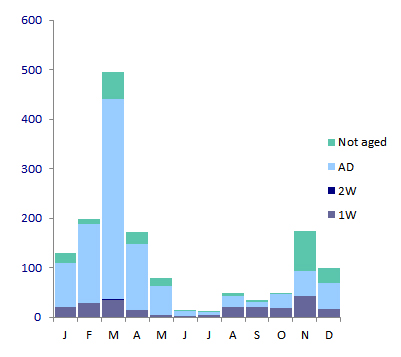 Monthly distribution of Kittiwakes 1986-2010 but omitting 1988 totals