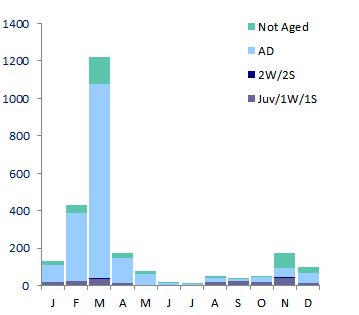 Monthly distribution of Kittiwakes, 1986-2010