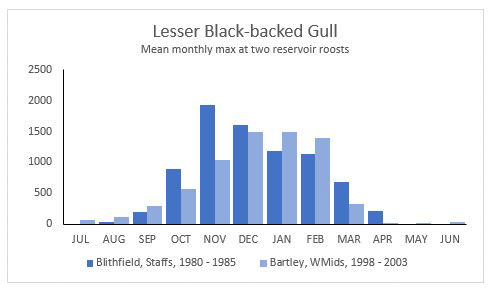 Lesser Black-backed Gull numbers at two West Midlands reservoir roosts