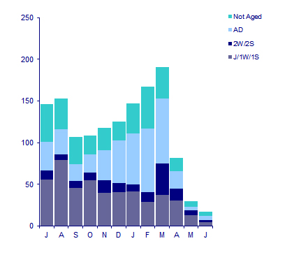 Monthly distribution of Med Gulls, 1989-2010